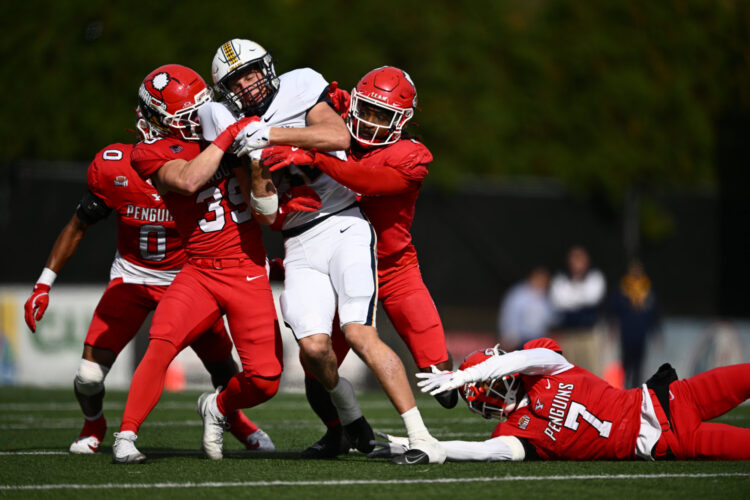 Preparation translating to results for Penguins